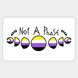 Not A Phase- nonbinary Magnet